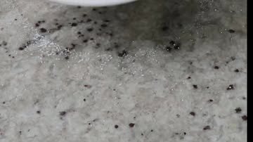 Beignets in 10 Minutes!